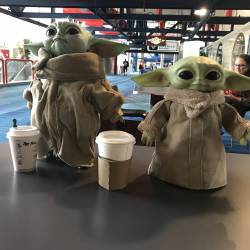 Grogu's Comicpalooza Adventure